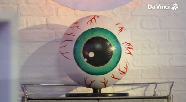 Operation Ouch (2012) – 10 season 5. nailed it!
