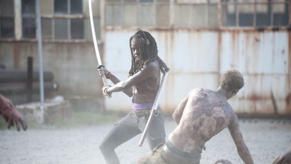 The Walking Dead (2010) – 3 сезон 5 episode