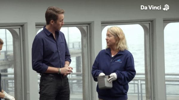 Siyaya - Wildest Cape ( 2019 ) – 5 season 7. varjatud loodus