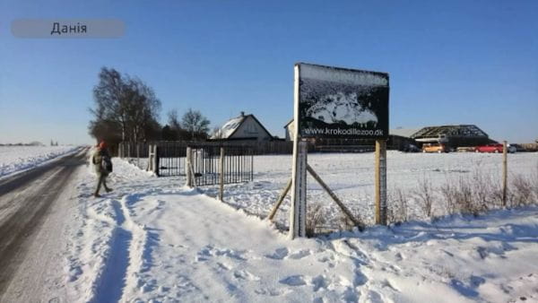 51 Серія