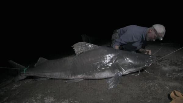 River Monsters (2024) - 6 season series 4