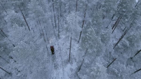 Europe's Wilderness (2020) – 1 season 6 episode