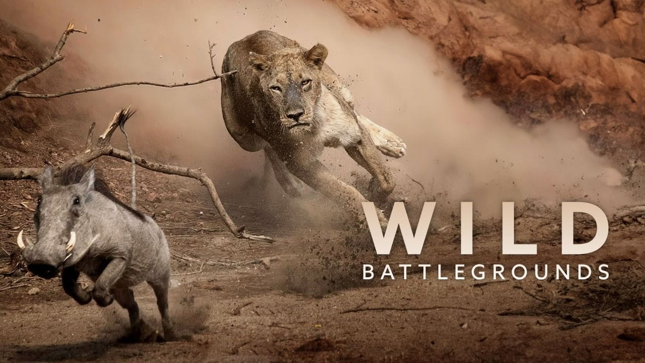 Wild Battleground