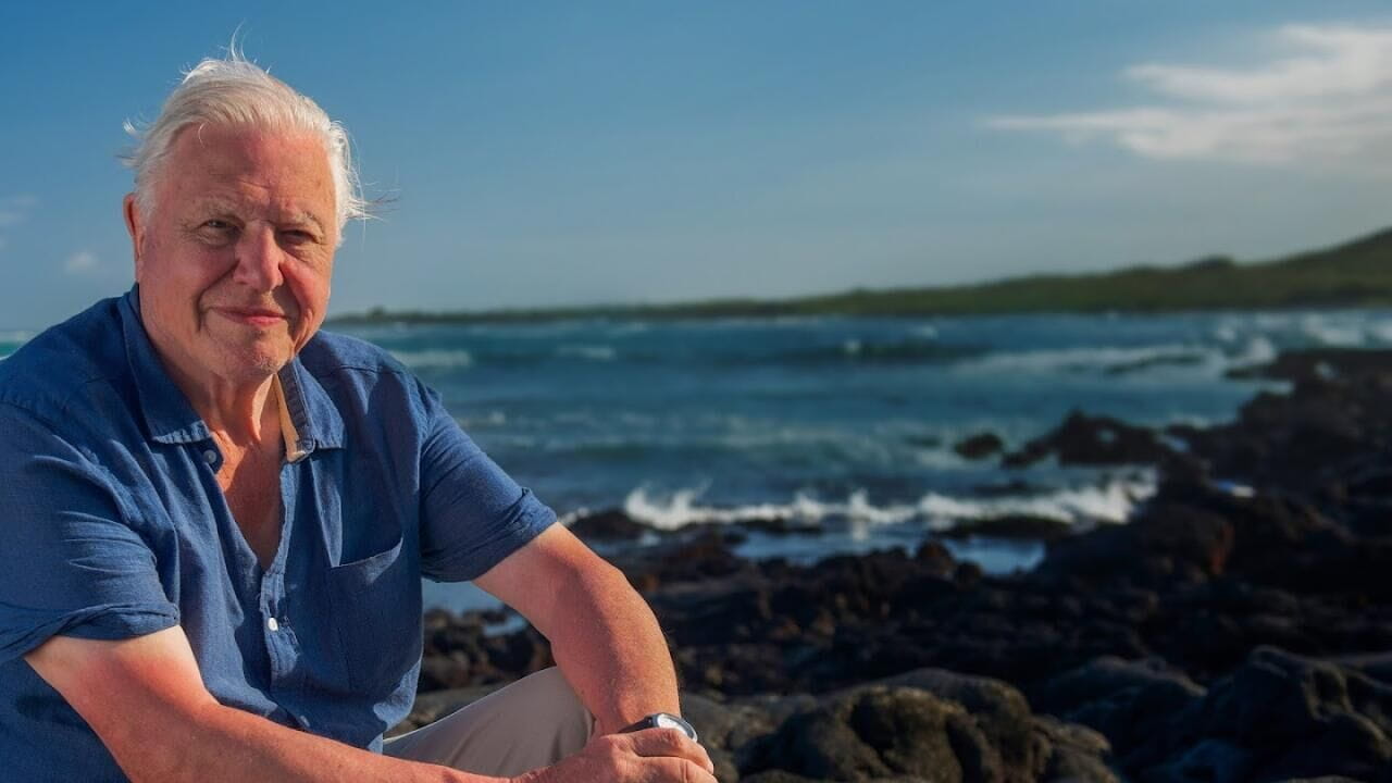 Attenborough's Global Adventures