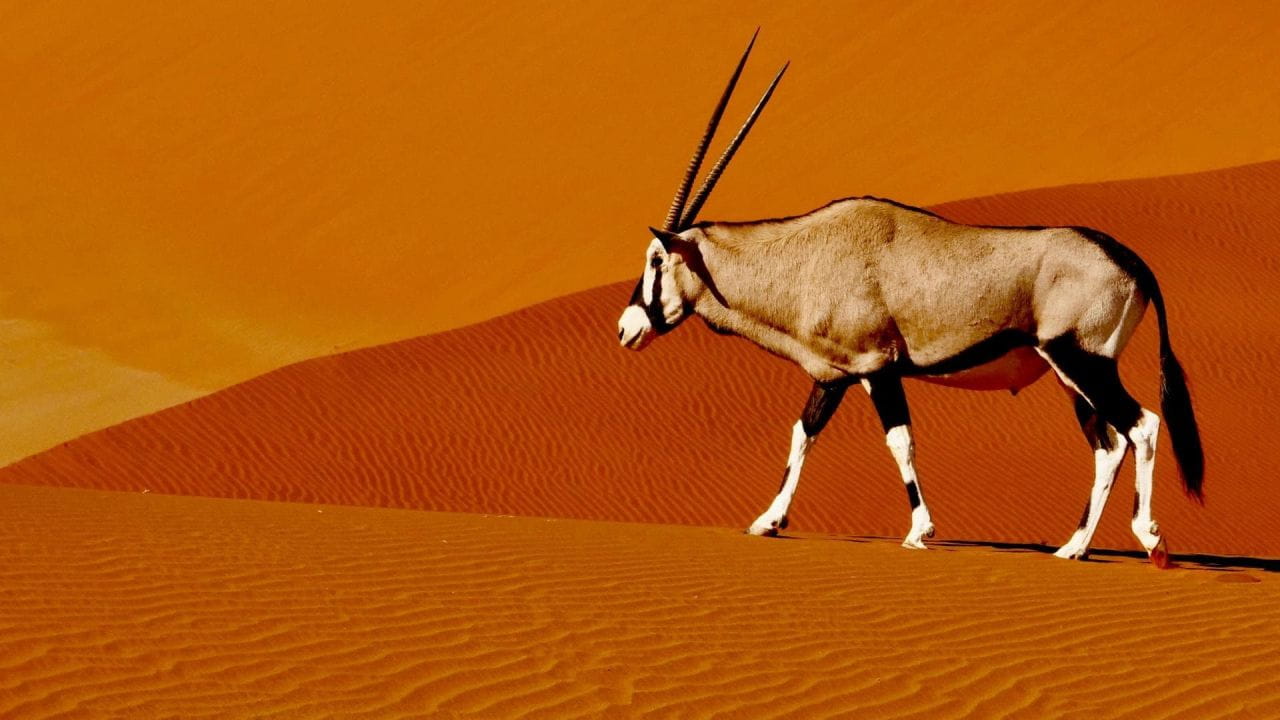 Extreme Namibia