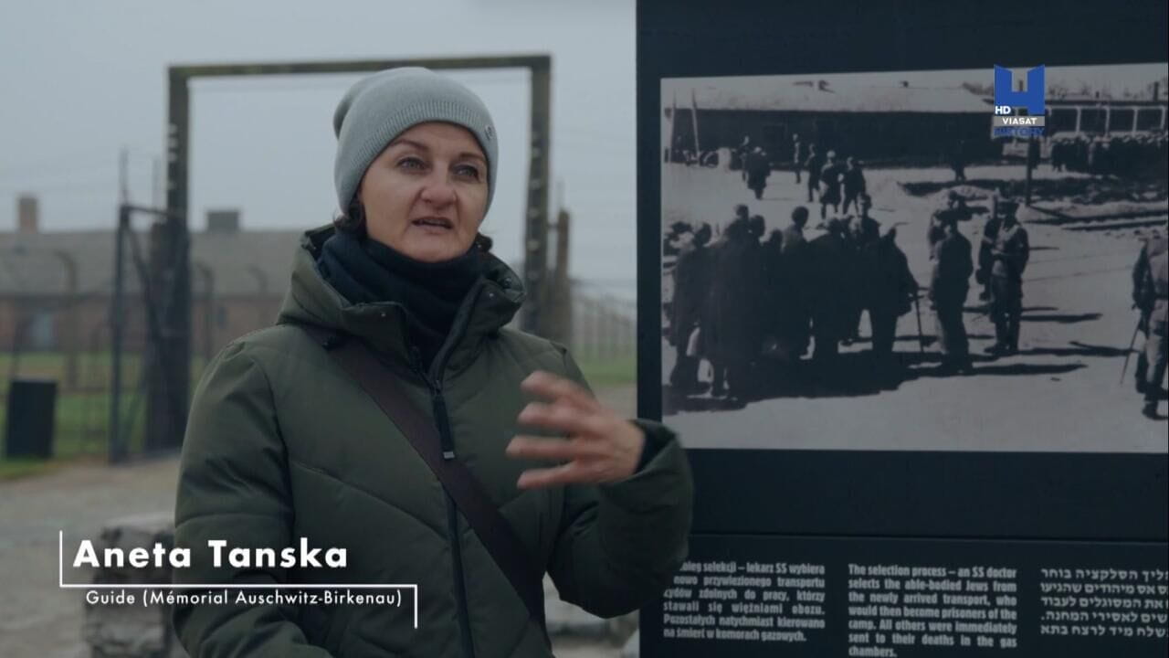 Правдива історія татуювальника з Освенціма