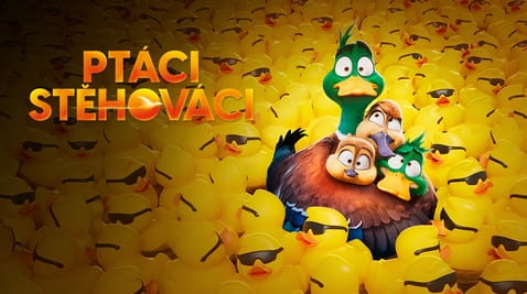 Sledovat Ptáci stěhováci online