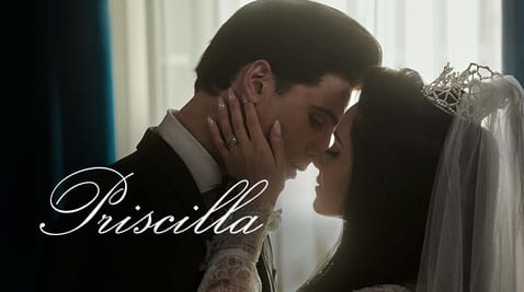 Glejte Priscilla na spletu