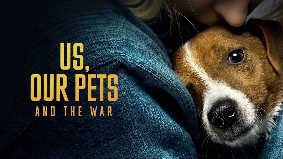 Us, Our Pets and the War - SWEET.TV Watch Us, Our Pets and the War online