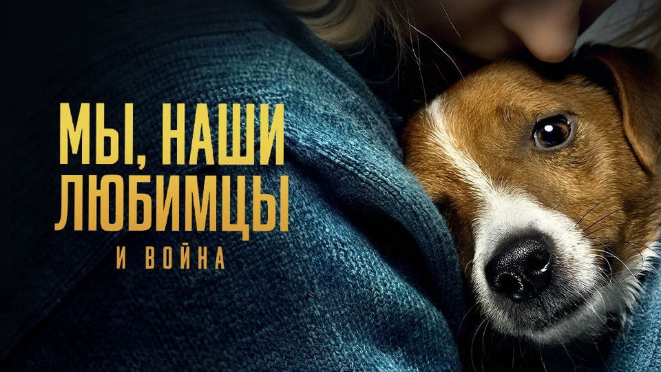 Смотреть Мы, наши любимцы и война онлайн