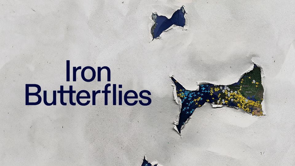 Trailer Iron Butterflies