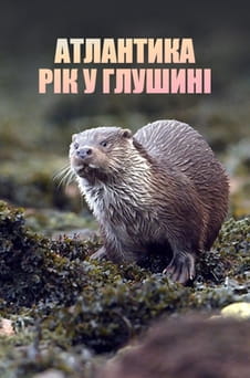 Дивитися Атлантика Рік у глушині онлайн