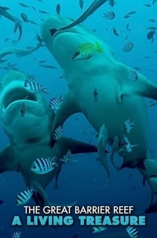 Παρακολούθησε The Great Barrier Reef A Living Treasure online