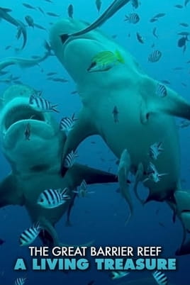 The Great Barrier Reef: A Living Treasure - SWEET.TV Watch The Great Barrier Reef: A Living Treasure online