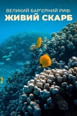 The Great Barrier Reef A Living Treasure - SWEET.TV Glejte The Great Barrier Reef A Living Treasure na spletu