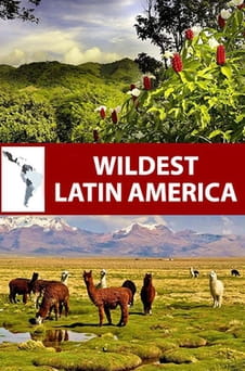 Παρακολούθησε Wildest Latin America online