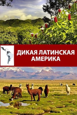Дикая Латинская Америка