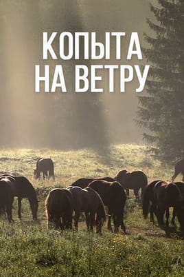 Копыта на ветру Копыта на ветру