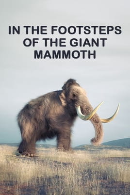 In the Footsteps of the Giant Mammoth - SWEET.TV In the Footsteps of the Giant Mammoth çevrimiçi izle