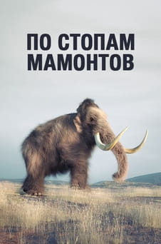 Смотреть По стопам мамонтов онлайн