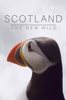 Gledajte Scotland: The New Wild onlajn