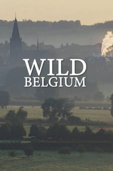 Παρακολούθησε Wild Belgium online
