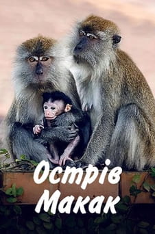 Дивитися Острів макак онлайн