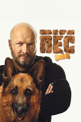The Dog