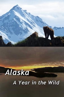 Παρακολούθησε Alaska A Year in the Wild online