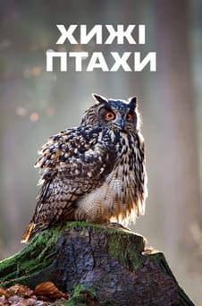 Дивитися Хижі птахи онлайн