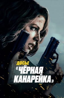 Смотреть Досье Чёрная канарейка онлайн