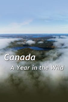 Παρακολούθησε Canada A Year In The Wild online