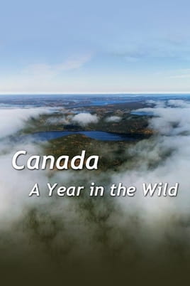 Canada A Year In The Wild - SWEET.TV Canada A Year In The Wild çevrimiçi izle