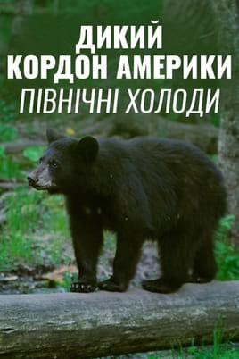 America's Wild Border: Northern Exposure - SWEET.TV Žiūrėti America's Wild Border: Northern Exposure internete