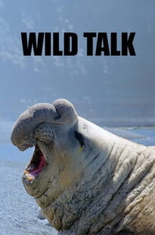 Παρακολούθησε Wild Talk online