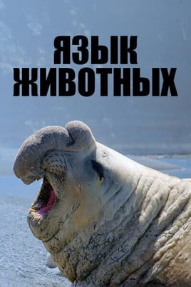 Язык животных