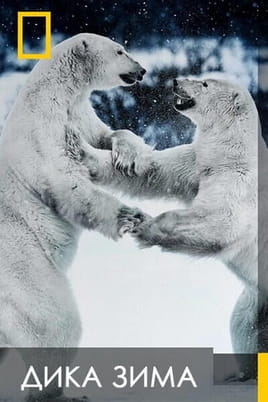 Wild Winter - SWEET.TV Παρακολούθησε Wild Winter online