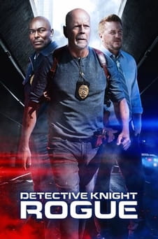 Bekijk Detective Knight Rogue online