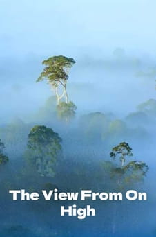 Παρακολούθησε The View From on High online