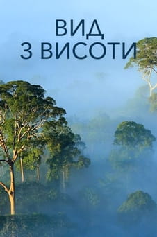 Дивитися Вид з висоти онлайн
