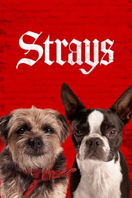 Strays Strays