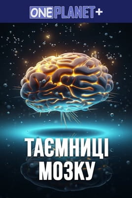 One Planet +. Secrets of the Brain - SWEET.TV Watch One Planet +. Secrets of the Brain online