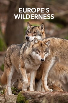 Παρακολούθησε Europes Wilderness online