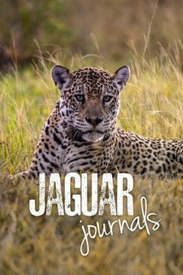 Jaguar Journals - SWEET.TV Παρακολούθησε Jaguar Journals online