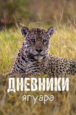 Дневники ягуара