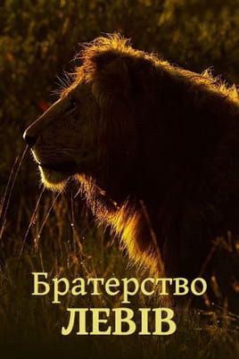 Brotherhood of Lions Brotherhood of Lions