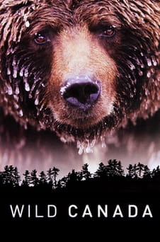 Παρακολούθησε Wild Canada online
