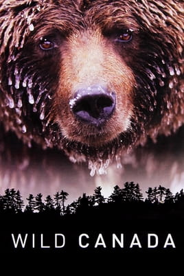 Watch Wild Canada online