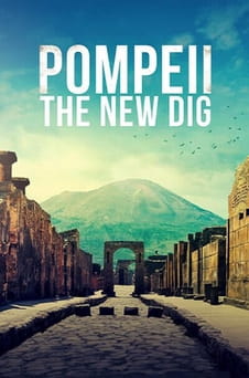 Ara Pompeii The New Dig online