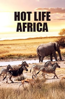 Παρακολούθησε Hot Life Africa online